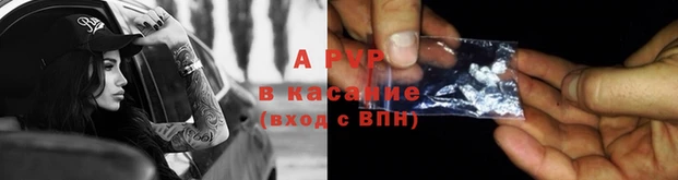 твердый Абаза