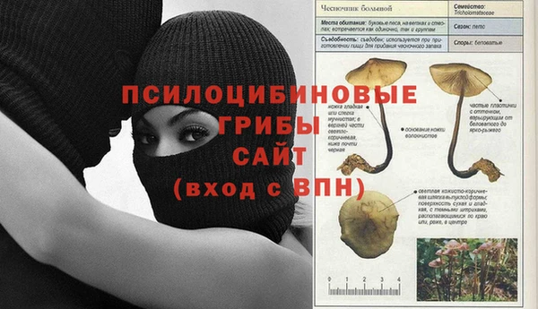 ECSTASY Абинск