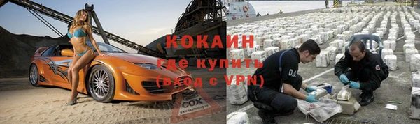 твердый Абаза