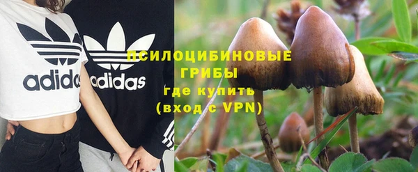 ECSTASY Абинск