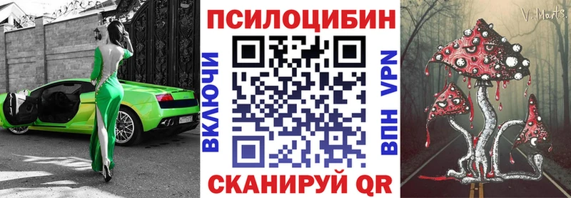 наркотики  Суздаль  Псилоцибиновые грибы Cubensis 